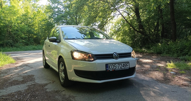 Volkswagen Polo cena 21500 przebieg: 102000, rok produkcji 2013 z Siedlce małe 407